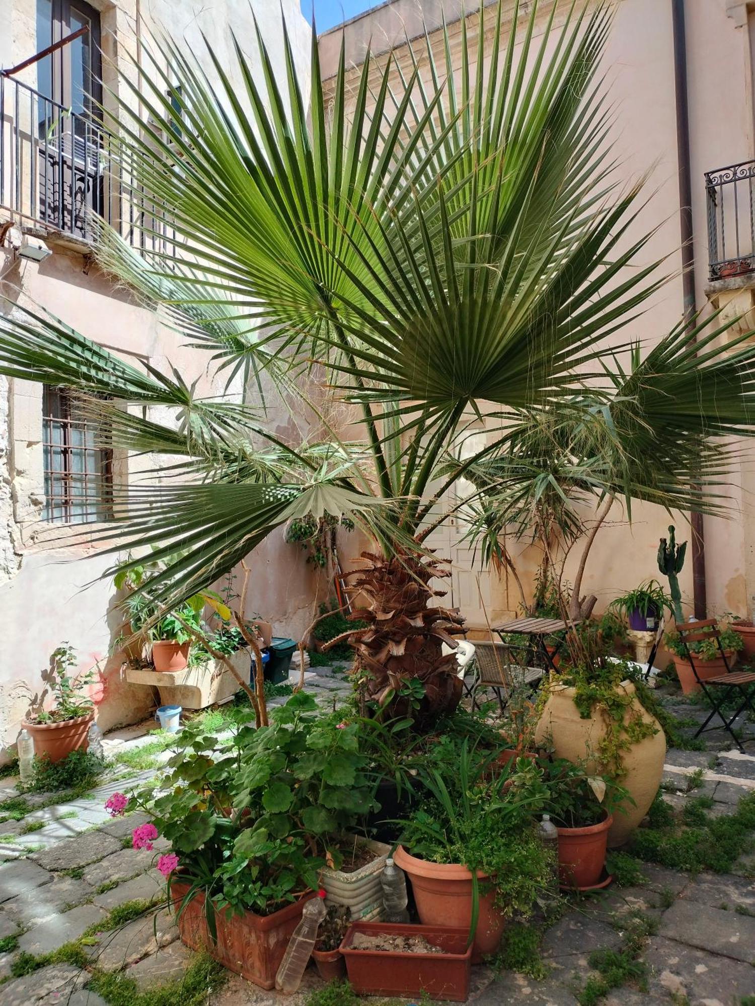 Appartamento Casa La Palma Di Ortigia Syracuse Esterno foto